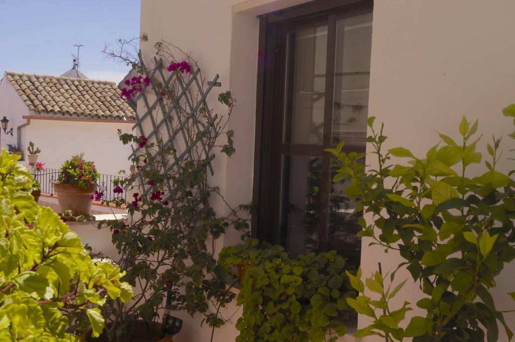 Penthouse Puerta De La Juderia Apartment Cordoba Ngoại thất bức ảnh
