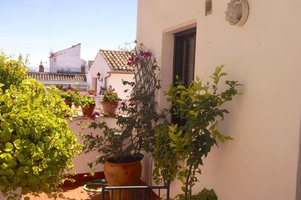 Penthouse Puerta De La Juderia Apartment Cordoba Ngoại thất bức ảnh